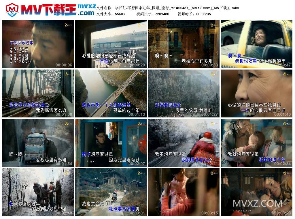 李长红-不想回家过年_国语_流行_YEA00487